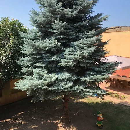 Apartament Central Constança