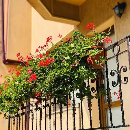 Apartament Central Apartment Constanta