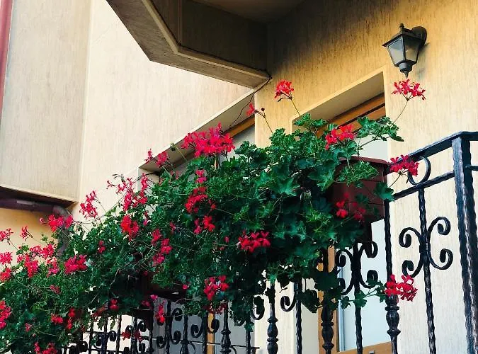 Apartament Central アパート *