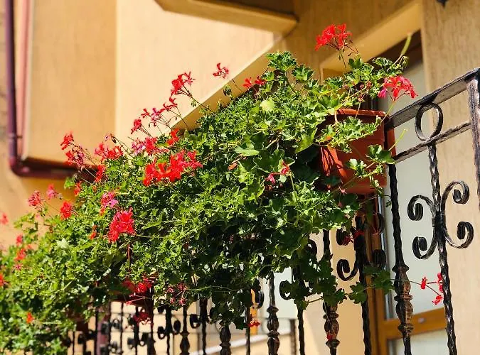 Apartament Central アパート コンスタンツァ