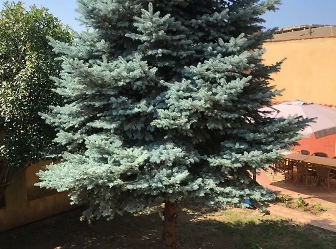 Apartament Central コンスタンツァ